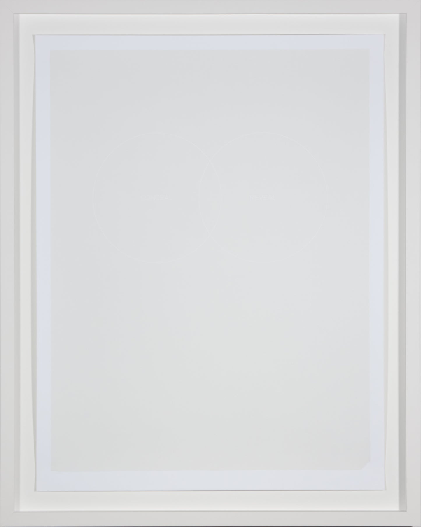 Dane Mitchell, Artspace Turns 21 (print series)