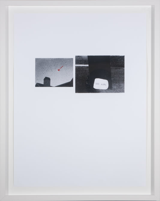 Kate Newby Artspace, Turns 21 (print series)