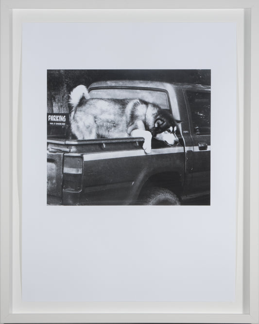 Michael Harrison, Artspace Turns 21 (print series)